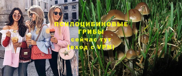 мяу мяу мука Осташков