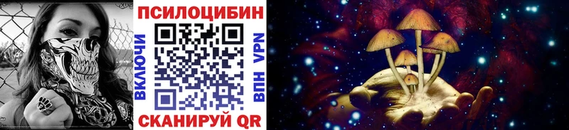 Галлюциногенные грибы MAGIC MUSHROOMS  Княгинино 